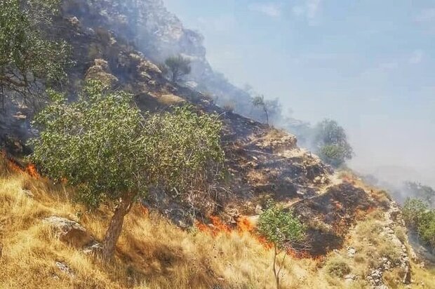 Armed forces dispatch helicopters to extinguish wildfire in SW Iran