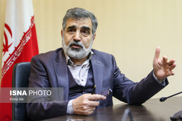 Kamalvandi terms Iran-IAEA agreement ‘win-win’