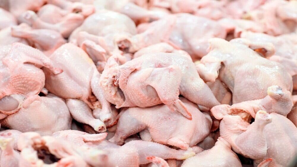 فراوانی تولید گوشت مرغ در استان