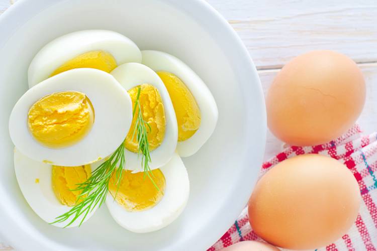 همه افراد سالم، روزانه یک عدد تخم مرغ مصرف کنند