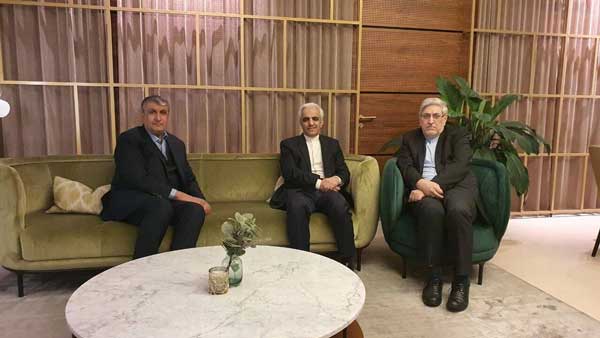 Iran’s top nuclear official arrives in Vienna