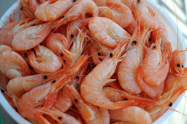 Shrimp exports increase 48% in 5 months on year
