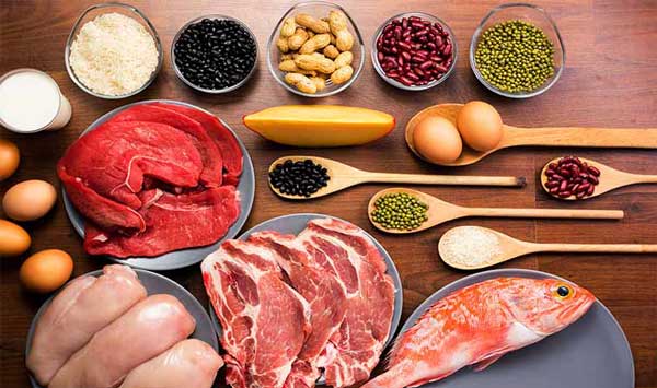 How Much Protein Everyone Needs per Day