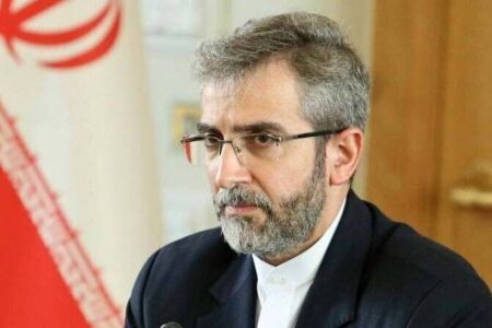 Iran’s foreign policy to continue pursuing demands of nation: Baqeri